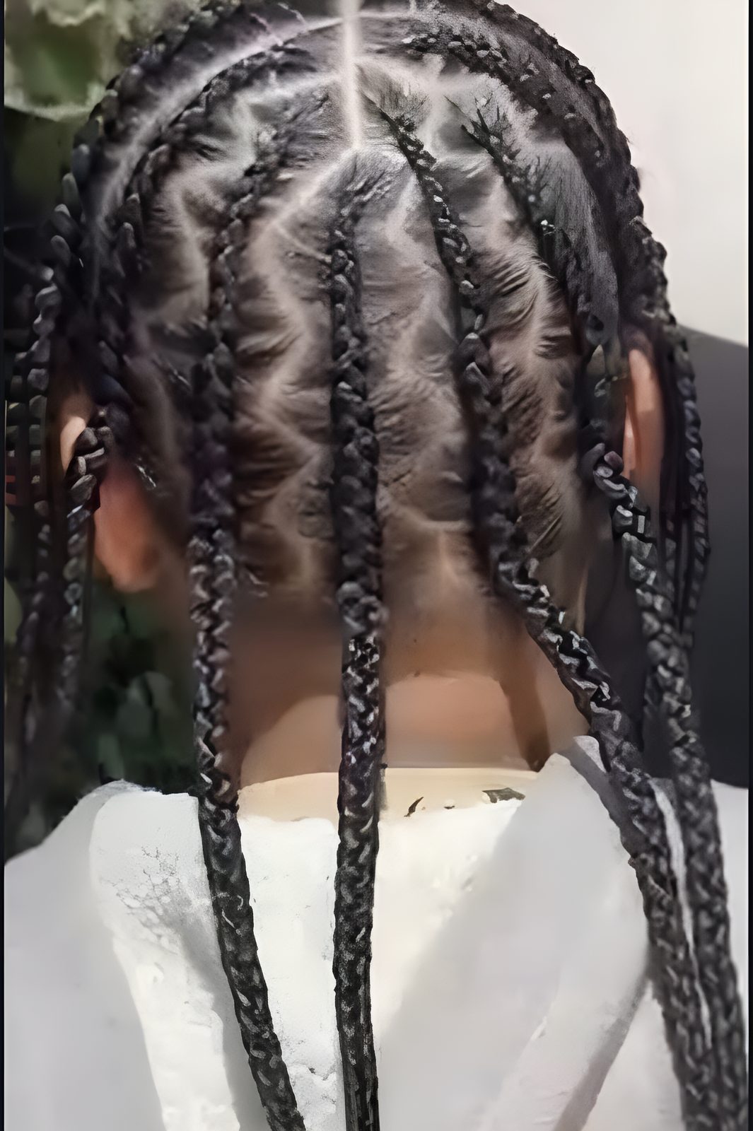 Box braids with zigzag parts by Egypt